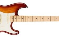 Fender American Professional Stratocaster Ash HSS Shawbucker MN Sienna Sunburst